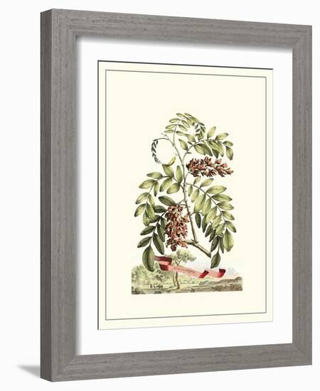 Grandiose View I-Abraham Munting-Framed Art Print