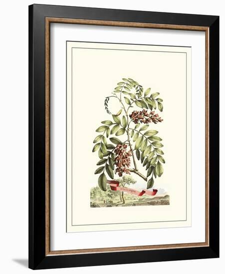 Grandiose View I-Abraham Munting-Framed Art Print