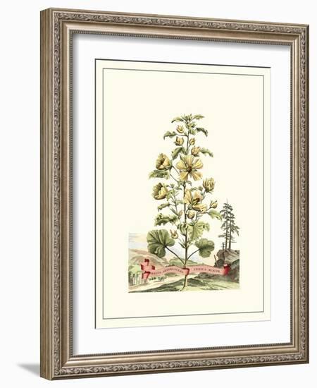 Grandiose View II-Abraham Munting-Framed Art Print