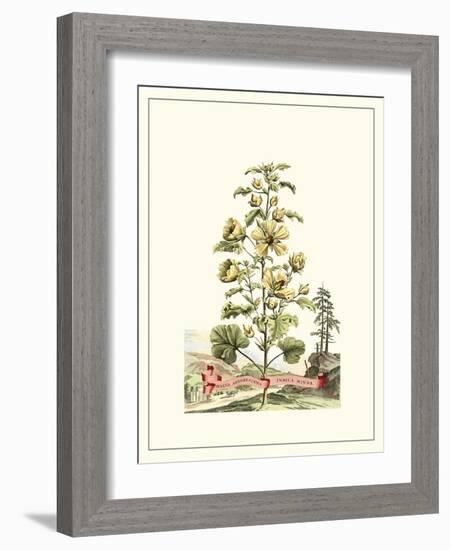 Grandiose View II-Abraham Munting-Framed Art Print