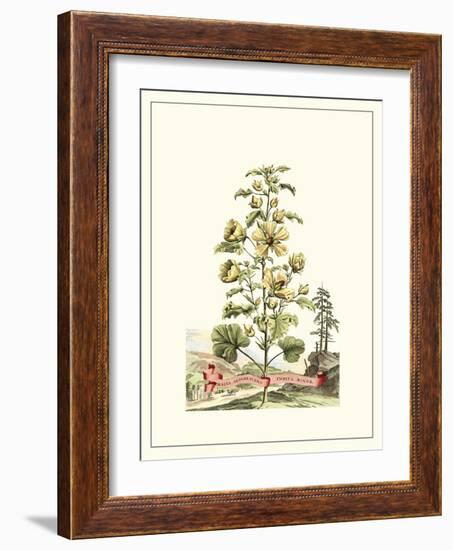 Grandiose View II-Abraham Munting-Framed Art Print