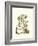 Grandiose View III-Abraham Munting-Framed Art Print