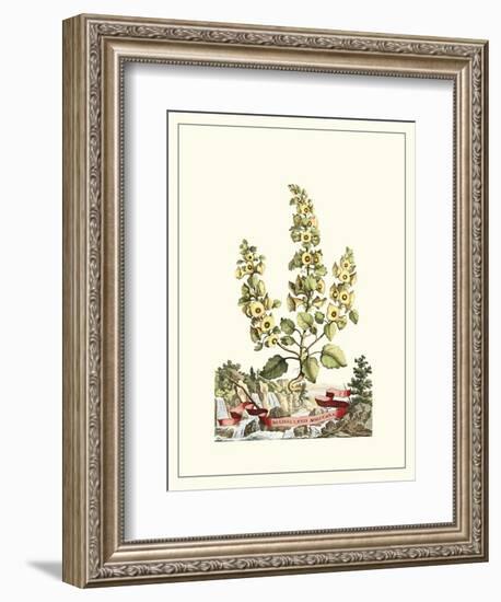 Grandiose View IV-Abraham Munting-Framed Art Print