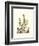 Grandiose View IV-Abraham Munting-Framed Art Print