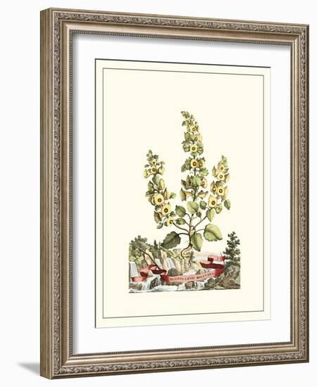 Grandiose View IV-Abraham Munting-Framed Art Print