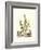 Grandiose View IV-Abraham Munting-Framed Art Print