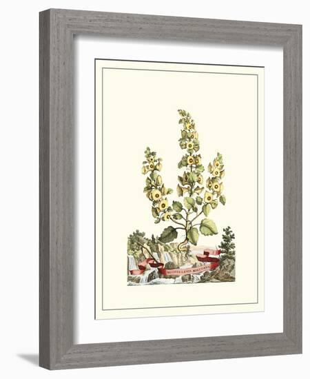 Grandiose View IV-Abraham Munting-Framed Art Print