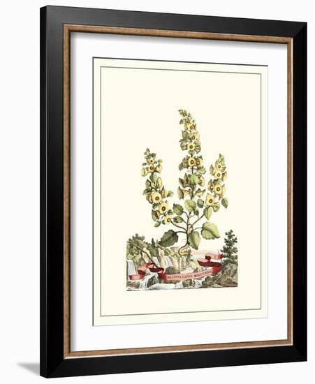 Grandiose View IV-Abraham Munting-Framed Art Print