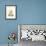 Grandiose View IV-Abraham Munting-Framed Art Print displayed on a wall