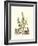 Grandiose View IV-Abraham Munting-Framed Art Print