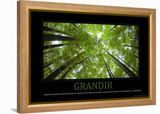 Grandir (French Translation)-null-Framed Stretched Canvas