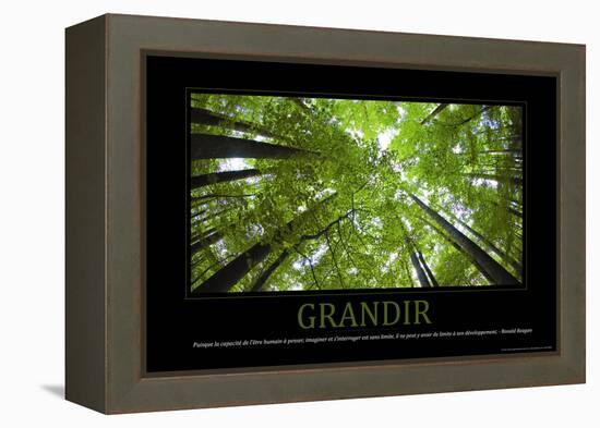 Grandir (French Translation)-null-Framed Stretched Canvas
