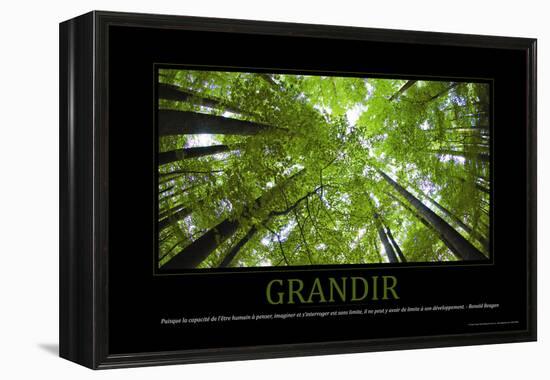 Grandir (French Translation)-null-Framed Stretched Canvas