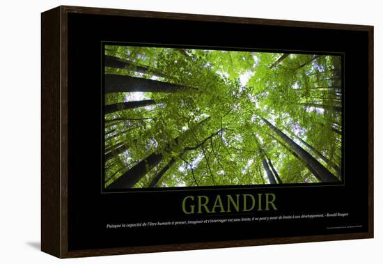 Grandir (French Translation)-null-Framed Stretched Canvas