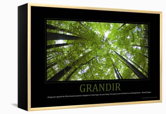 Grandir (French Translation)-null-Framed Stretched Canvas