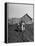 Grandpa and 4 Year Old Granddaughter, on Morning Chores, to Feed Pigs on Nearby Lot-Gordon Parks-Framed Premier Image Canvas