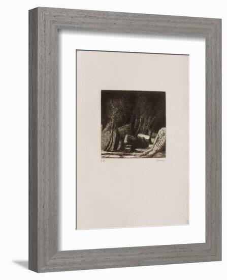 Grands arbres avec rochers-Ivan Theimer-Framed Collectable Print