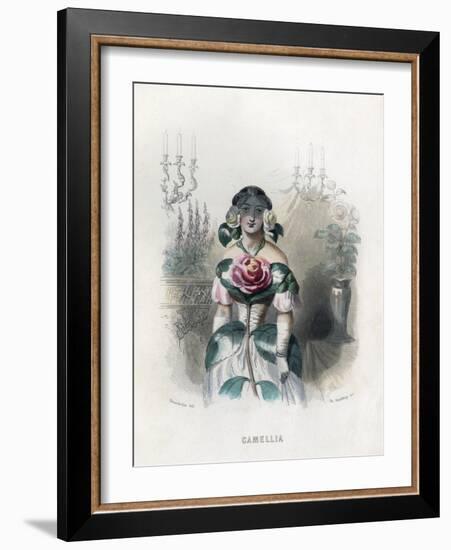 Grandville Camellia 1847-JJ Grandville-Framed Art Print