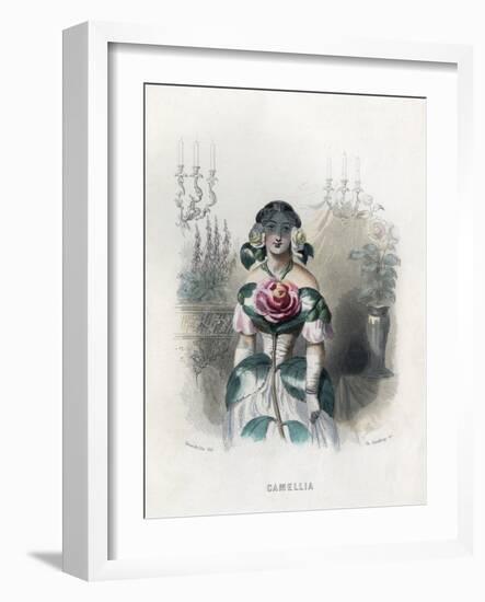 Grandville Camellia 1847-JJ Grandville-Framed Art Print
