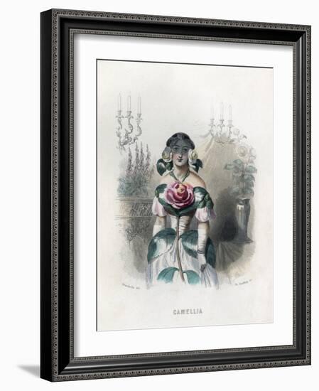 Grandville Camellia 1847-JJ Grandville-Framed Art Print