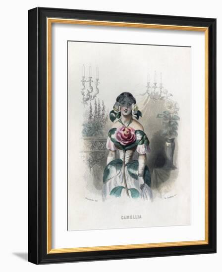 Grandville Camellia 1847-JJ Grandville-Framed Art Print