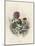 Grandville Dahlia 1847-JJ Grandville-Mounted Photographic Print