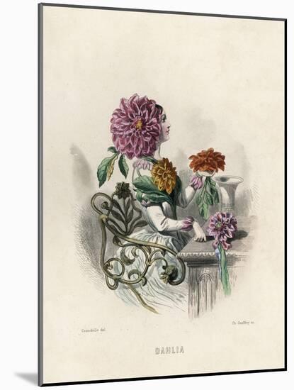 Grandville Dahlia 1847-JJ Grandville-Mounted Photographic Print