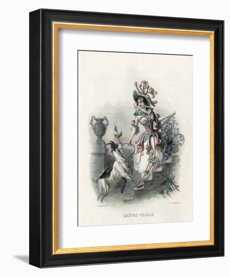 Grandville Honeysuckle-JJ Grandville-Framed Art Print