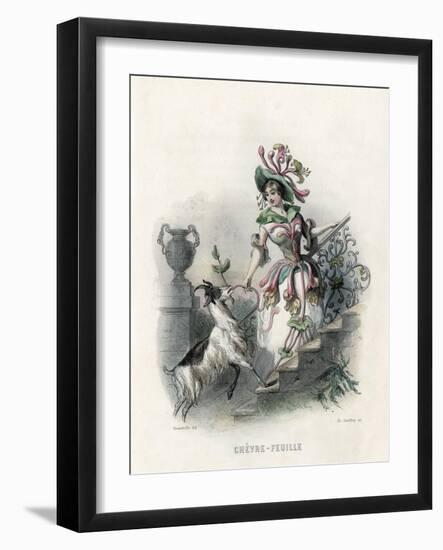 Grandville Honeysuckle-JJ Grandville-Framed Art Print