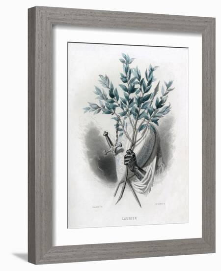 Grandville Laurel 1847-JJ Grandville-Framed Art Print