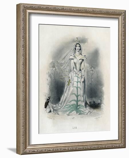 Grandville Lily 1847-JJ Grandville-Framed Art Print