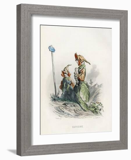 Grandville Nasturtium-JJ Grandville-Framed Art Print