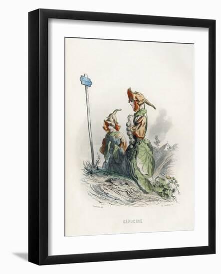 Grandville Nasturtium-JJ Grandville-Framed Art Print