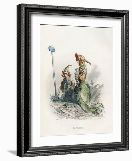 Grandville Nasturtium-JJ Grandville-Framed Art Print