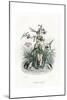 Grandville Reed 1847-J^J^ Grandville-Mounted Giclee Print