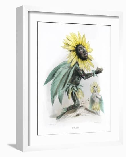 Grandville Sunflower-JJ Grandville-Framed Art Print