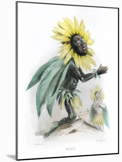 Grandville Sunflower-JJ Grandville-Mounted Art Print