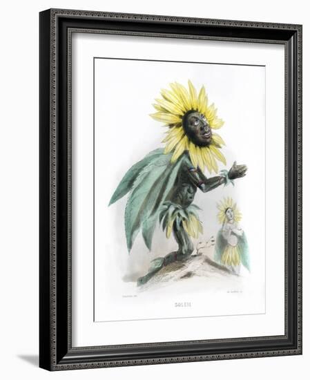 Grandville Sunflower-JJ Grandville-Framed Art Print