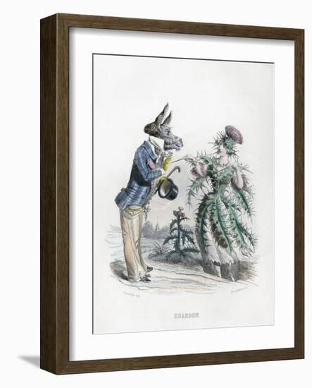Grandville Thistle 1847-JJ Grandville-Framed Art Print