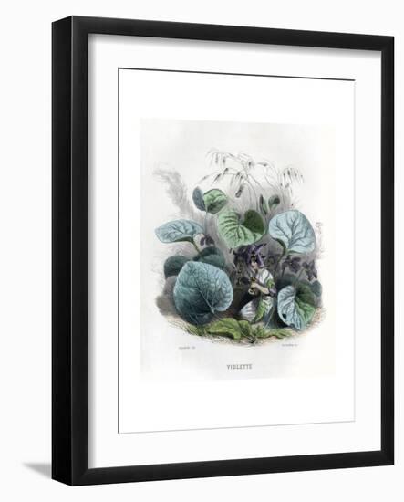 Grandville Violet 1847-J^J^ Grandville-Framed Giclee Print