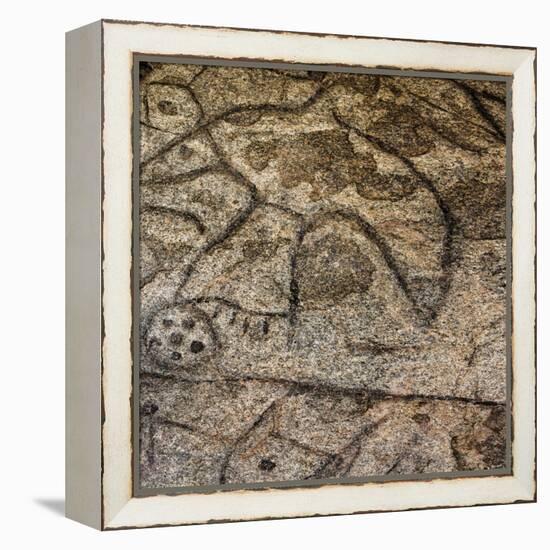 Granite Boulder, Native American Petroglyphs, Writing Rock, North Dakota, USA-Chuck Haney-Framed Premier Image Canvas