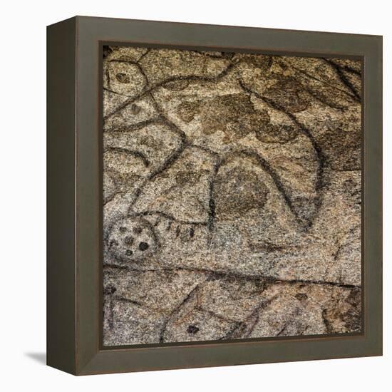 Granite Boulder, Native American Petroglyphs, Writing Rock, North Dakota, USA-Chuck Haney-Framed Premier Image Canvas