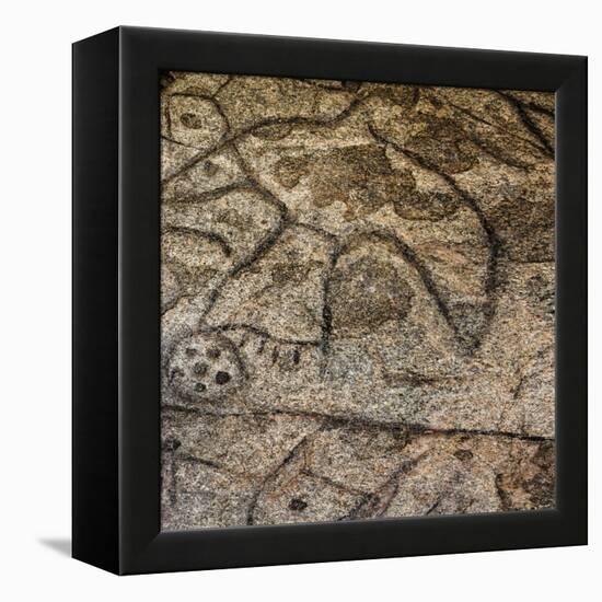 Granite Boulder, Native American Petroglyphs, Writing Rock, North Dakota, USA-Chuck Haney-Framed Premier Image Canvas