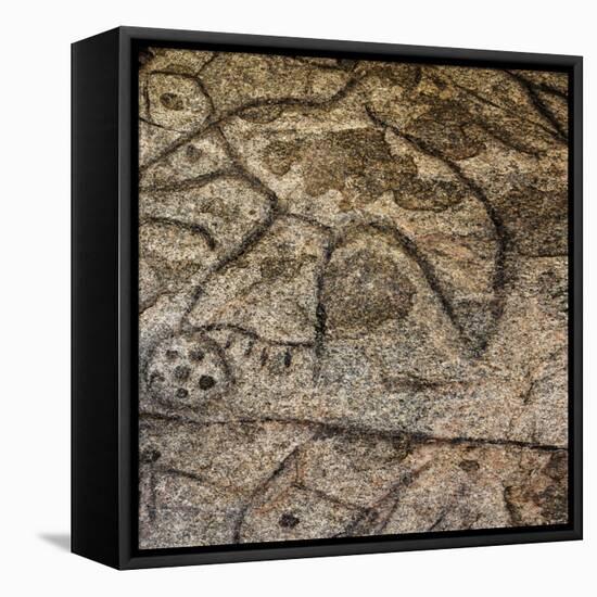 Granite Boulder, Native American Petroglyphs, Writing Rock, North Dakota, USA-Chuck Haney-Framed Premier Image Canvas