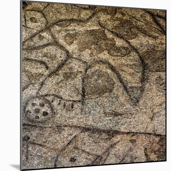 Granite Boulder, Native American Petroglyphs, Writing Rock, North Dakota, USA-Chuck Haney-Mounted Photographic Print