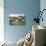 Granite Boulders on Tor Overlooking Dart Valley, Dartmoor Nat'l Pk, Devon, England, UK-David Lomax-Photographic Print displayed on a wall