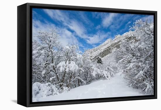 Granite Cliffs at Mouth of Little Cottonwood Canyon and Trees, Utah-Howie Garber-Framed Premier Image Canvas