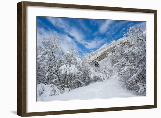 Granite Cliffs at Mouth of Little Cottonwood Canyon and Trees, Utah-Howie Garber-Framed Photographic Print