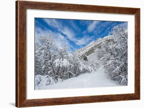 Granite Cliffs at Mouth of Little Cottonwood Canyon and Trees, Utah-Howie Garber-Framed Photographic Print