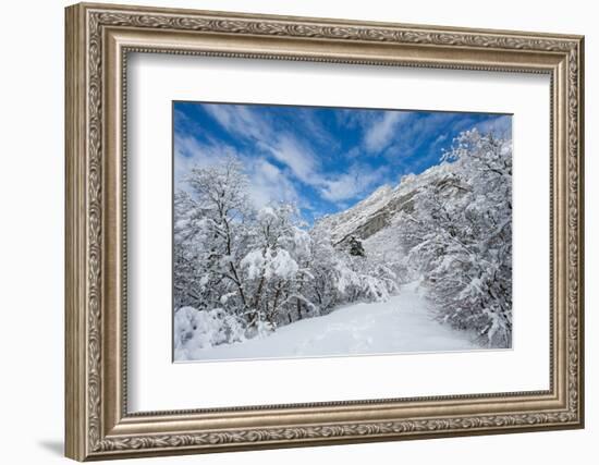 Granite Cliffs at Mouth of Little Cottonwood Canyon and Trees, Utah-Howie Garber-Framed Photographic Print